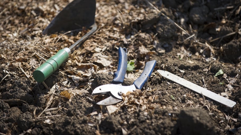 What Tools Do You Need to Start a Garden? Angie's List